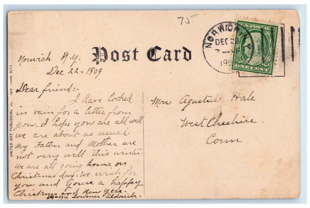 1909 Rexford Falls Waterfalls Bridge Sherburne New York NY Antique Postcard