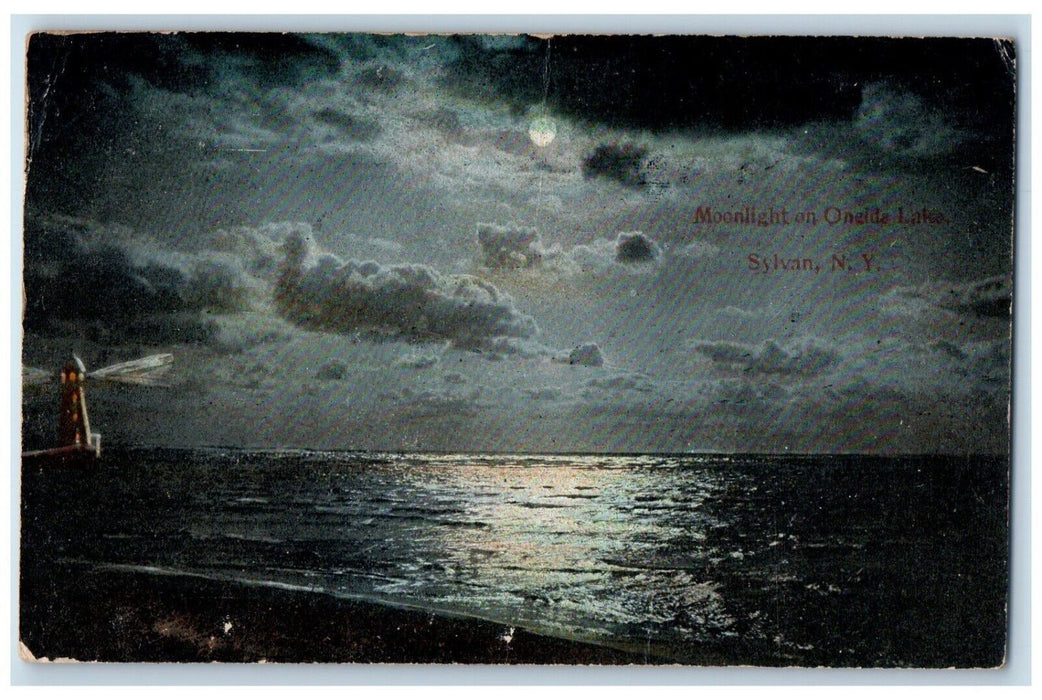 1911 Moonlight On Oneida Lake Night View Sylvan New York NY Antique Postcard