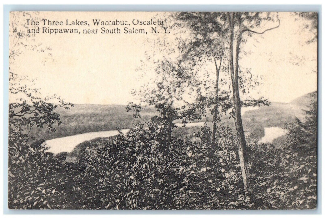 c1910's The Three Lakes Waccabuc Oscaleta Rippawan Near South Salem NY Postcard
