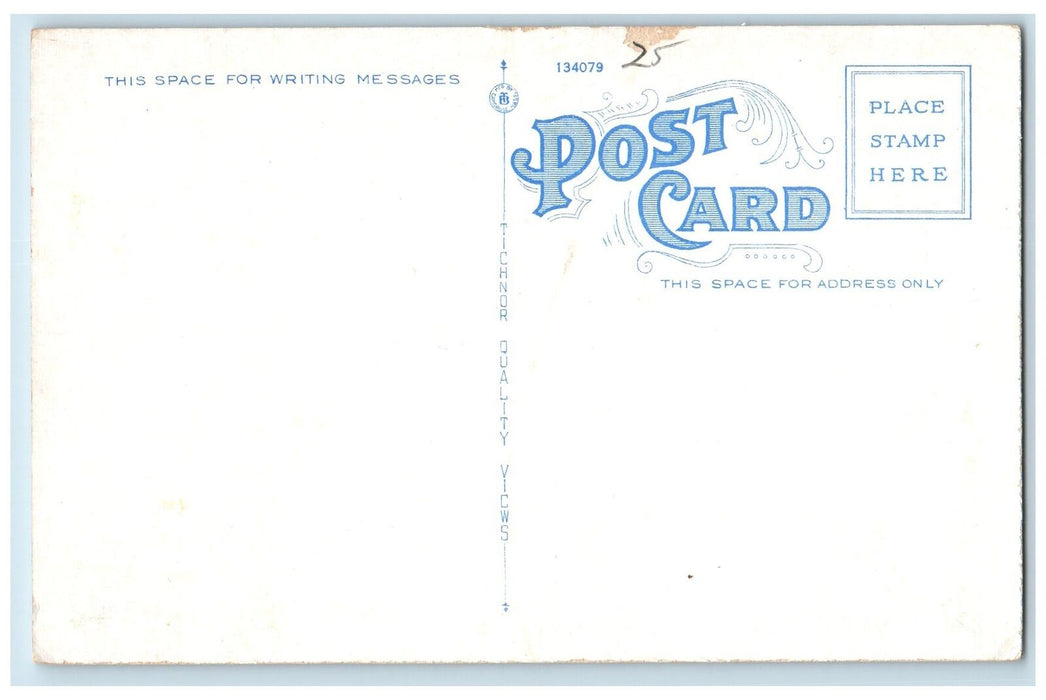 c1920s Lake Pennesseewassee From Highway Scene Norway Maine ME Unposted Postcard