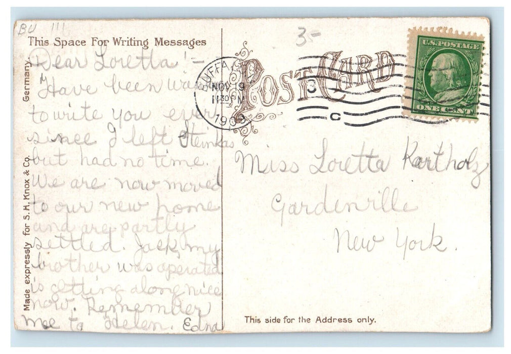 1909 North Street Looking West Delaware Avenue Lenox Hotel Buffalo NY Postcard