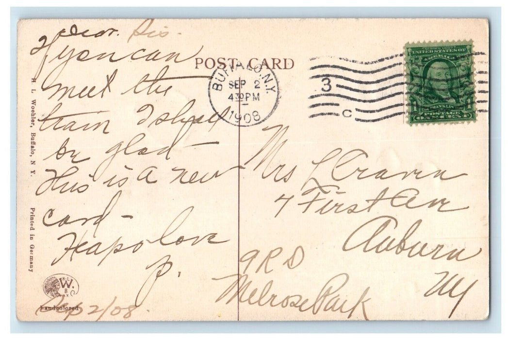 1908 View Of Driveway Delaware Park Buffalo New York NY Posted Antique Postcard