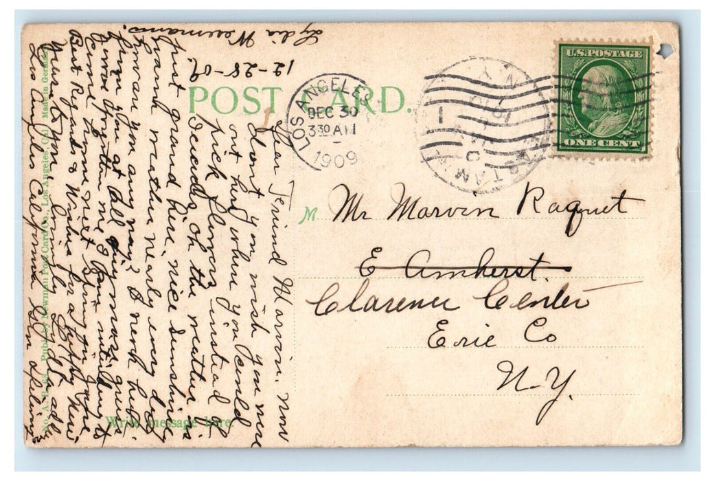 1909 Picking Carnations In Winterlime Los Angeles California CA Antique Postcard