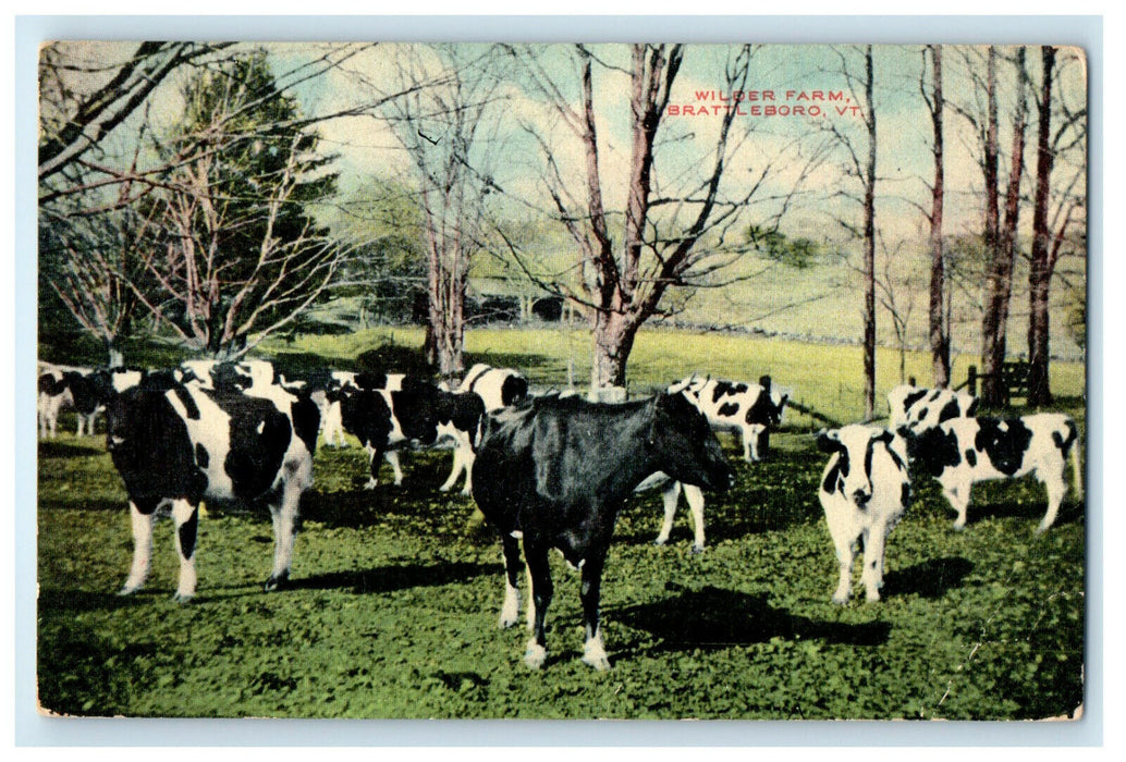 c1910s Cows Gathering Wilder Farm, Brattleboro Vermont VT Unposted Postcard