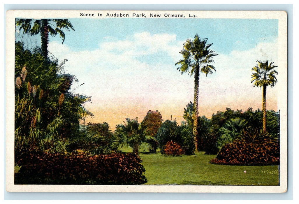 c1920s Scene in Audubon Park, New Orleans Louisiana LA Unposted Postcard