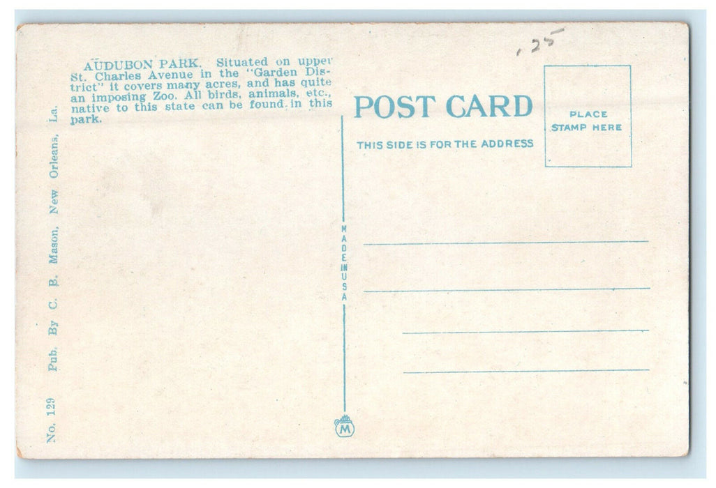 c1920s Scene in Audubon Park, New Orleans Louisiana LA Unposted Postcard
