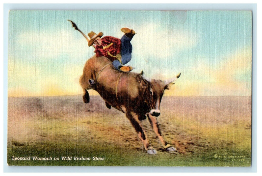 c1940's Leonard Womach On Wild Brahma Steer Cowboy Bucking Rodeo Postcard