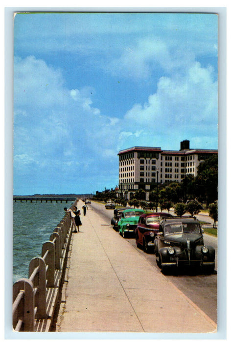 c1960s Murray Boulevard or Low Battery Charleston South Carolina SC Postcard