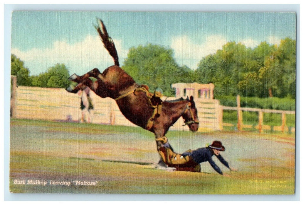 c1940's Burl Mulkey Leaving Melrose Cowboy Bucking Rodeo R.R Doubleday Postcard