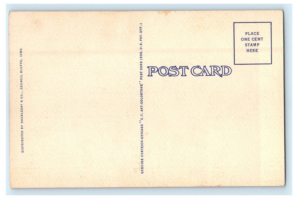 c1940's Frank Van Meter Leaving Barrelhead Cowboy Bucking Rodeo Vintage Postcard