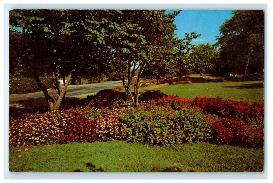 c1950's Flower Gardens At Beautiful Heights Park Muskogee Oklahoma OK Postcard
