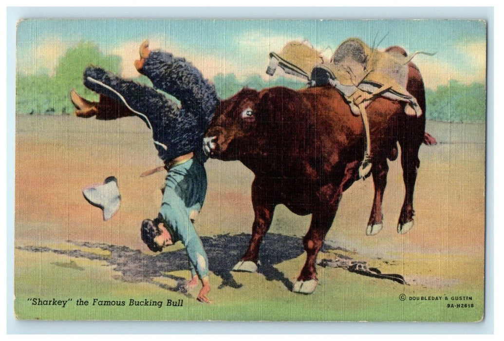 c1940's Sharkey The Famous Bucking Bull Rodeo Cowboy Doubleday & Gustin Postcard