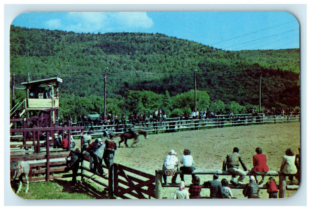 c1960s Rodeo Spectacular at Adirondack Dude Ranch Unposted Postcard