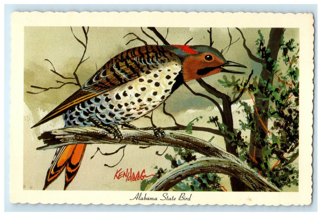 c1950s Alabama State Bird Yellowhammer (Colaptes Auratus) Unposted Postcard