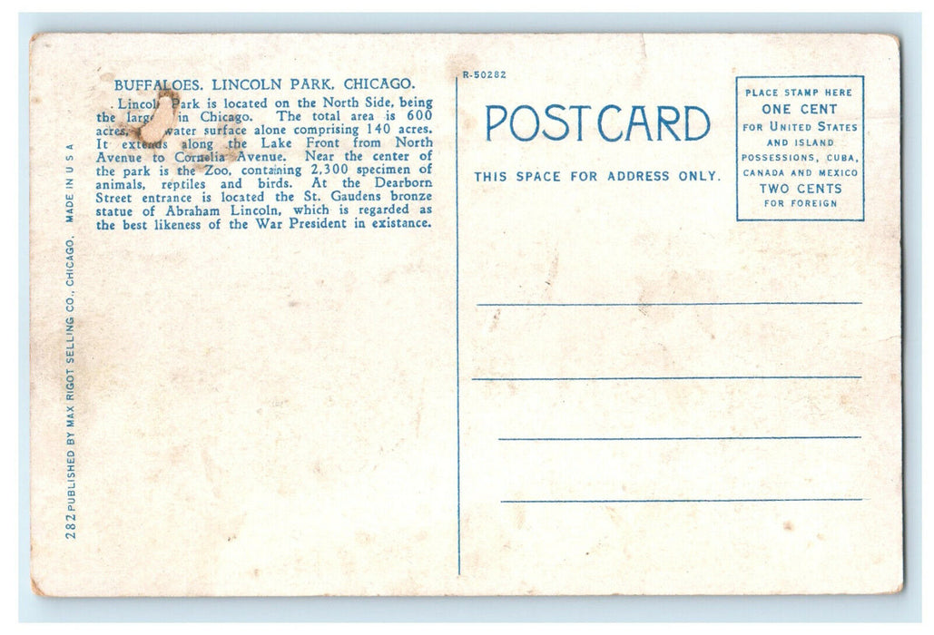 c1920s Buffaloes Lincoln Park Chicago Illinois IL Unposted Vintage Postcard