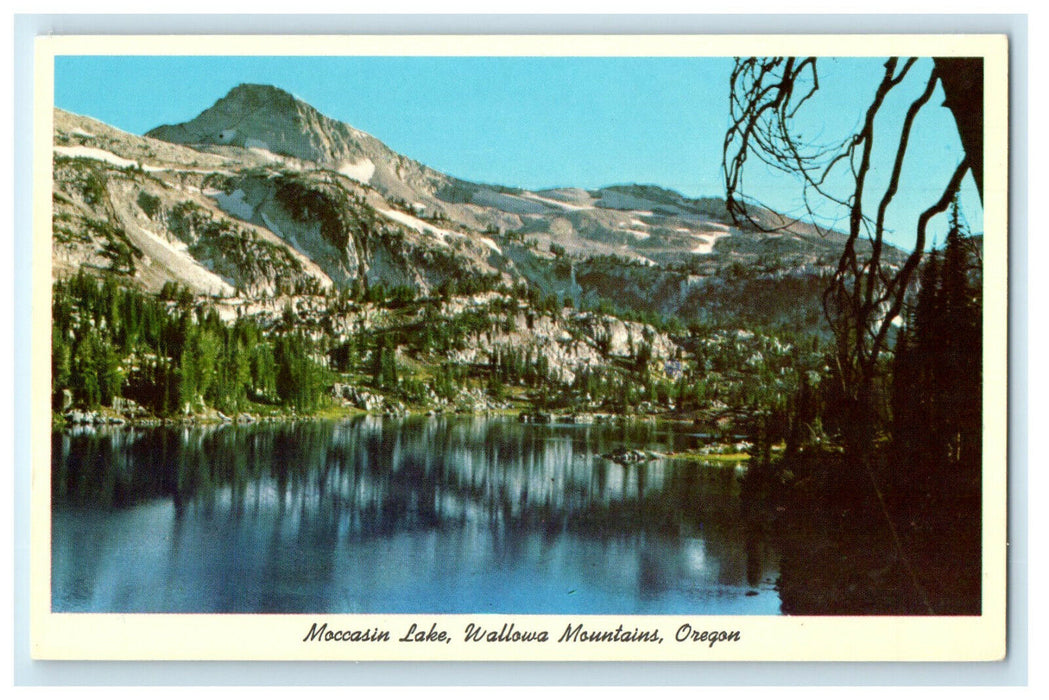 c1950s Moccasin Lake, Wallowa Mountains, Oregon OK Unposted Postcard