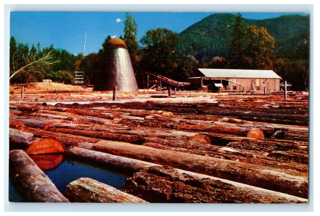 c1950s View of Hundreds of Old Sawmill Oregon OR Unposted Antique Postcard