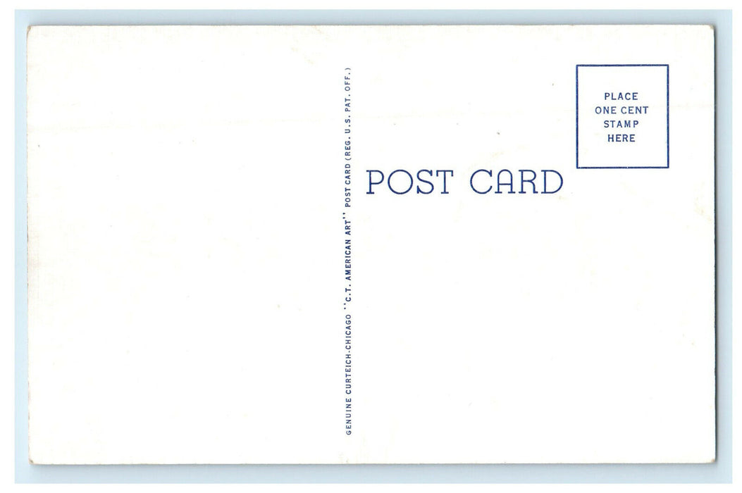 c1920s Hotel Casa De Fresa Hammond Louisiana LA Unposted Postcard