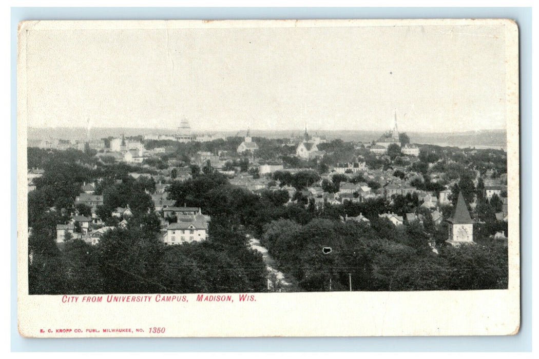 c1910 City From University Campus Madison Wisconsin Wi Antique Postcard
