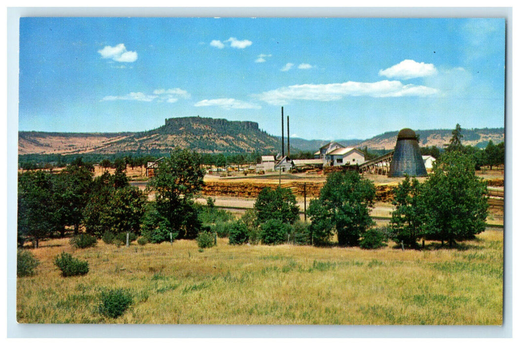 c1960s Table Rock Mountain, Hundreds of Sawmills, Southern Oregon OR Postcard