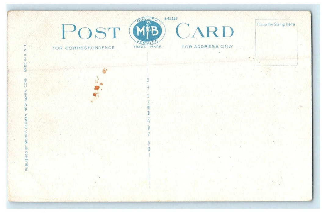c1920's Connecticut College For Women Street Scene New London CT Postcard