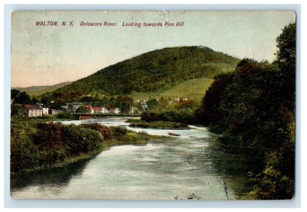 1911 Walton NY, Delaware River Looking Towards Pine Hill Antique Postcard