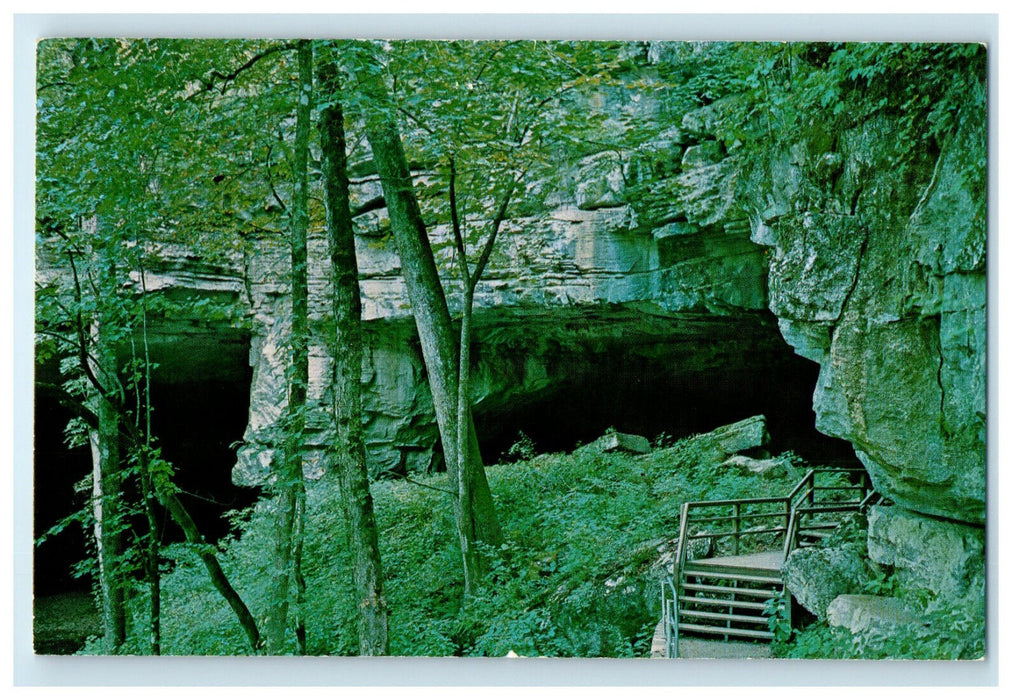 c1950s Large Mouth of Russell Cave Monument Bridgeport Alabama AL Postcard