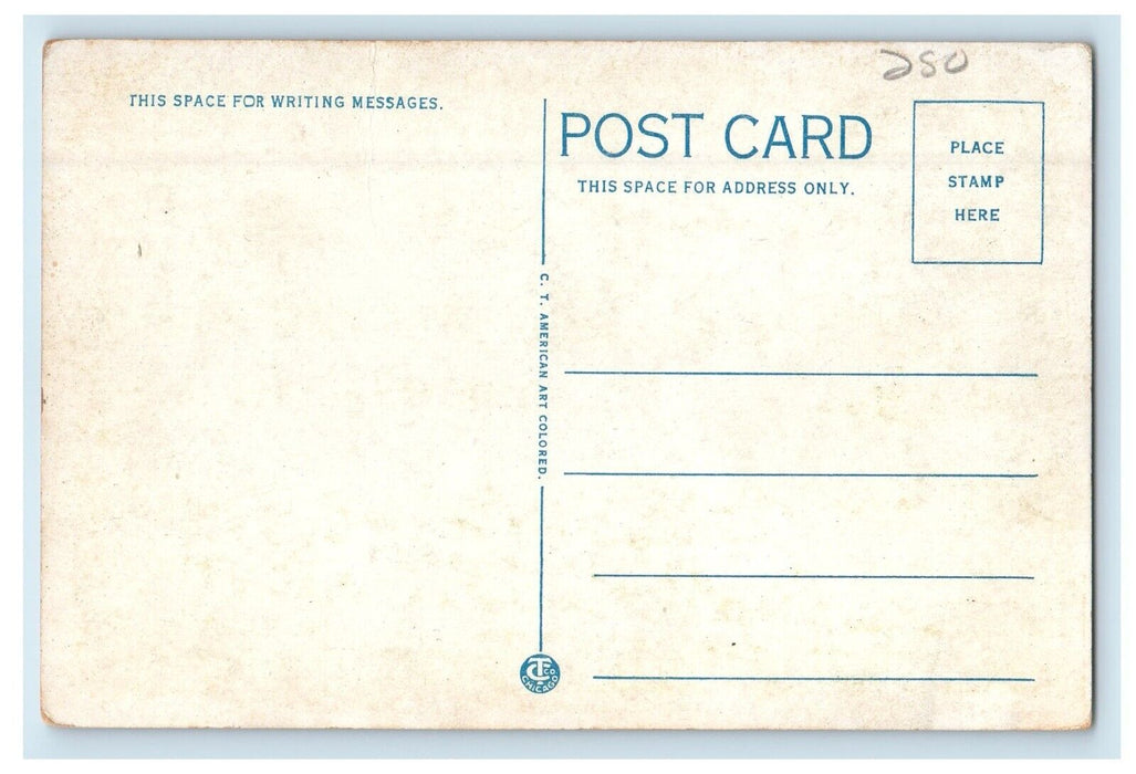 c1920's A View Of Lake Chargoggagogg Webster Massachusetts MA Vintage Postcard