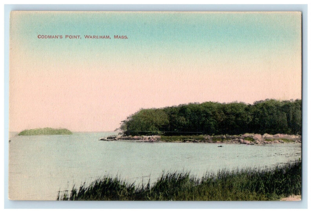 c1910's Codman's Point Lake View Wareham Massachusetts MA Antique Postcard