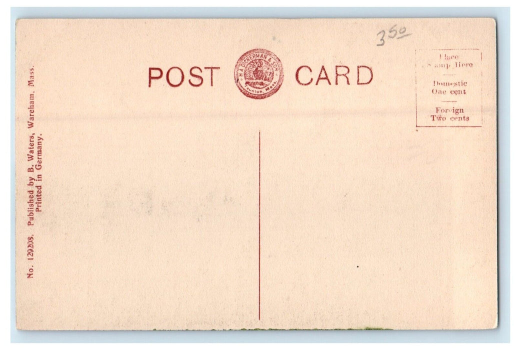 c1910's Codman's Point Lake View Wareham Massachusetts MA Antique Postcard