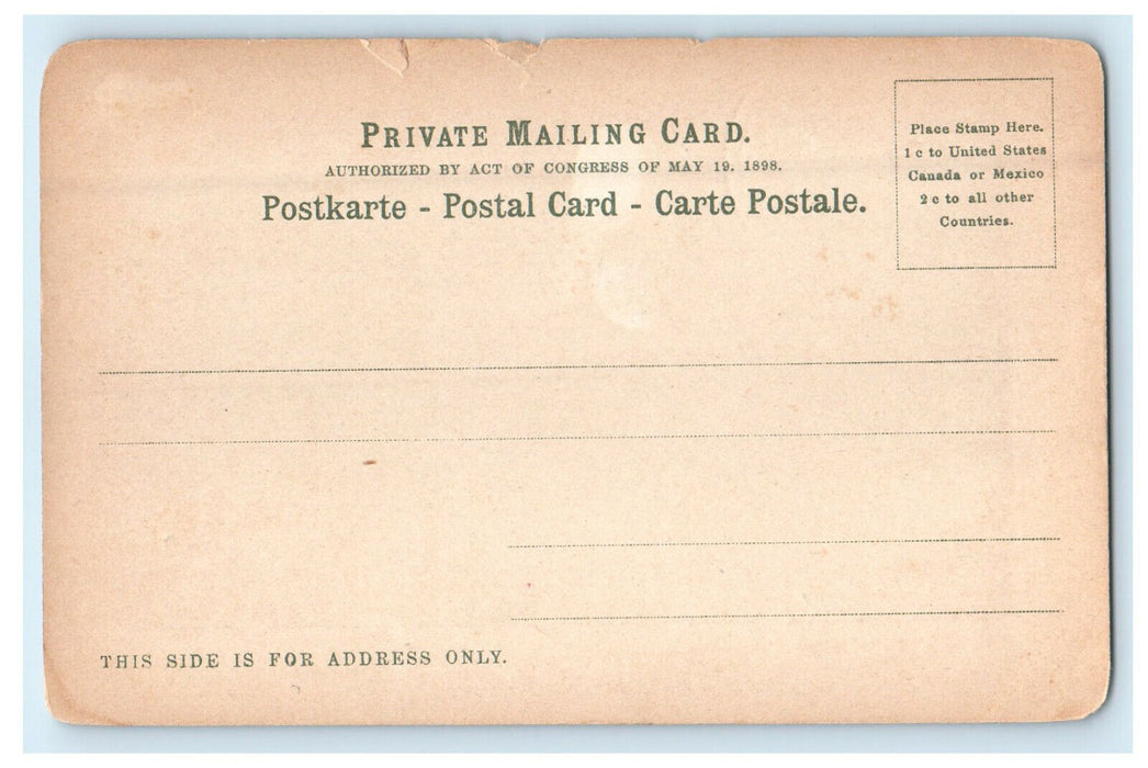 c1905 The Entire Notch, Carriage Road Willy House & Railroad PMC Postcard
