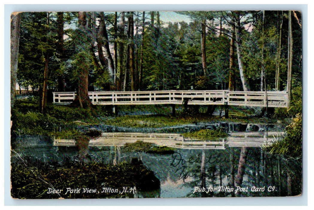 1906 Deer Park View Tilton New Hampshire NH Tilton Postcard Co. Antique Postcard