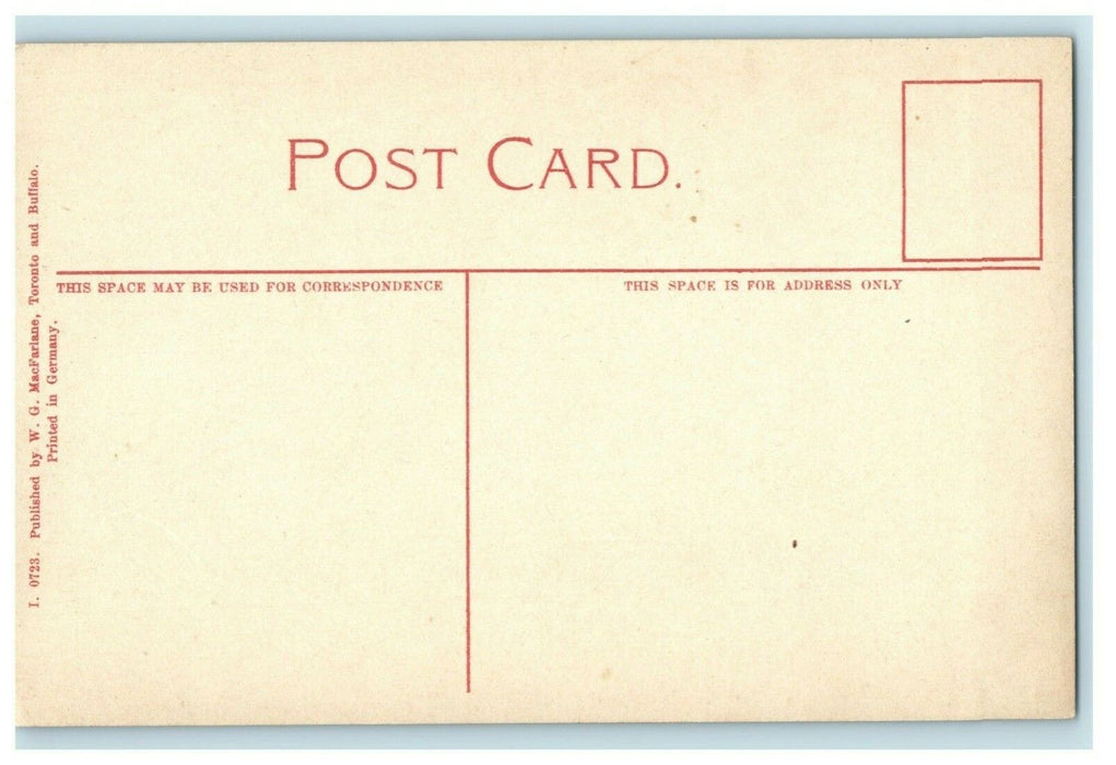 c1910 Famous Big Tree Stanley Park Vancouver Canada Antique Postcard