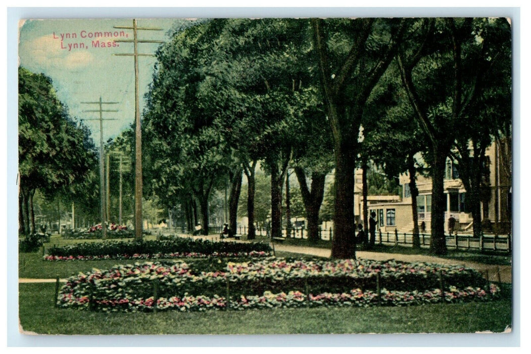 1911 Lynn Common Street Scene View Lynn Massachusetts MA Antique Postcard