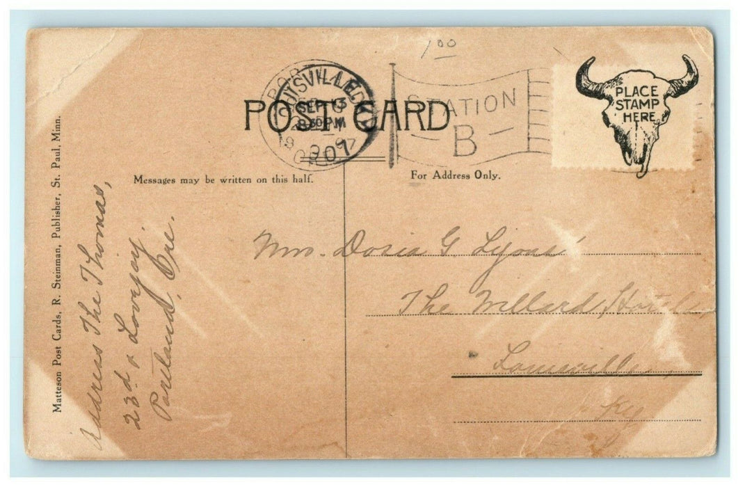 1907 Two Bear Cubs "The First Families" Portland Oregon OR Antique Postcard
