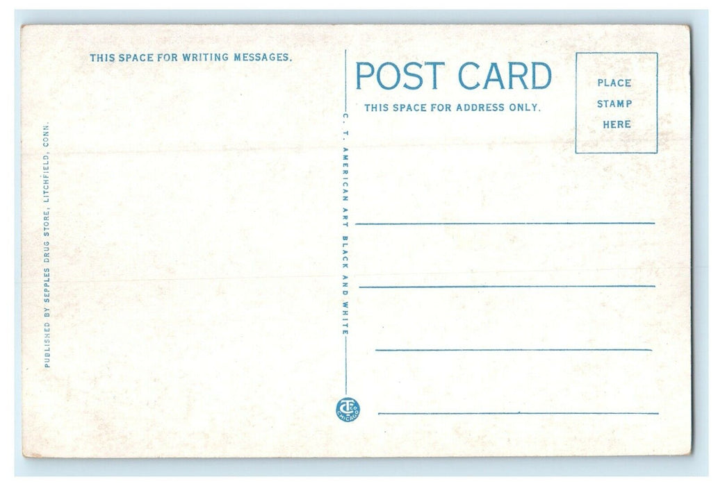 1925 Litchfield Center School, Litchfield Connecticut CT Unposted Postcard