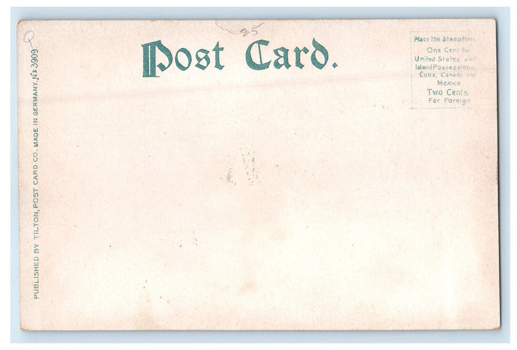 c1905 The Island and Winnepesauke River Tilton New Hampshire Antique Postcard