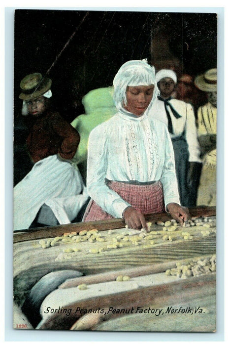 c1910 Sorting Peanuts Factory Norfolk Virginia VA Unposted Antique Postcard