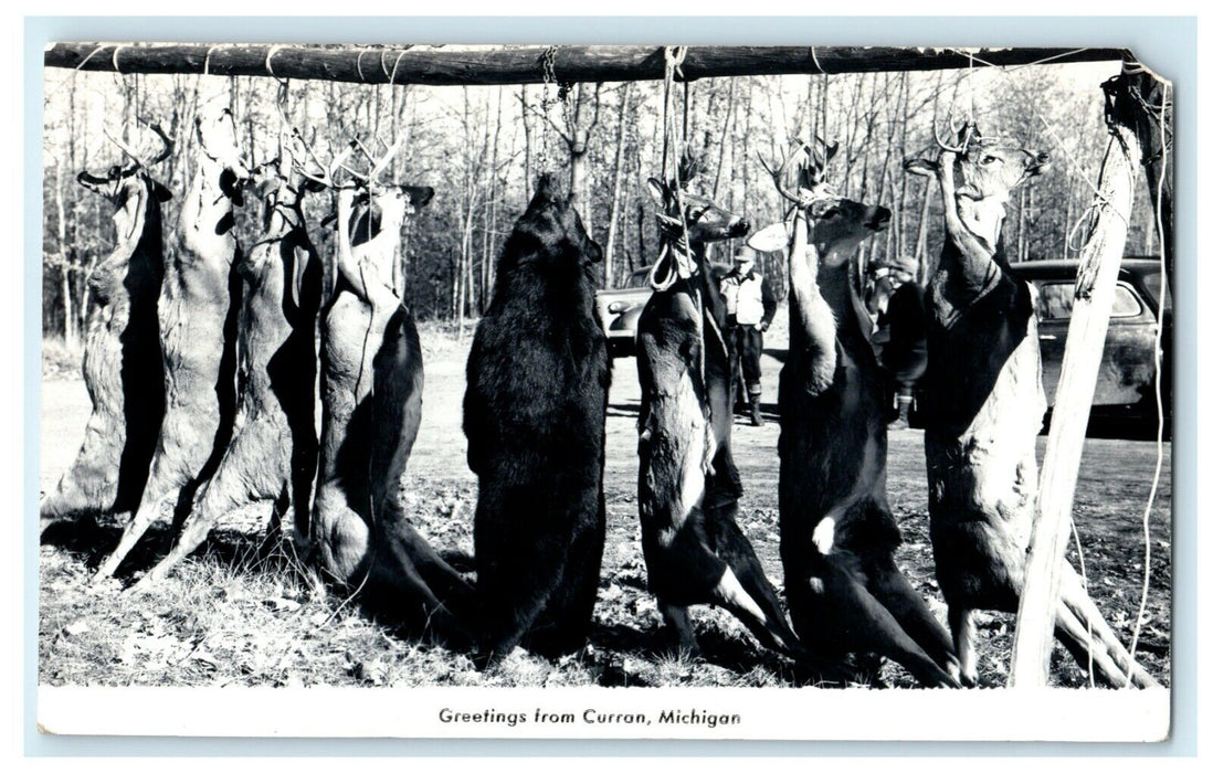 1949 Greetings From Curran Michigan MI Bear Deer RPPC Photo Postcard