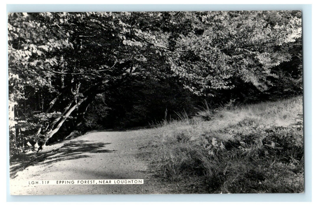 c1940's Epping Forest Near Loughton United Kingdom UK RPPC Photo Postcard