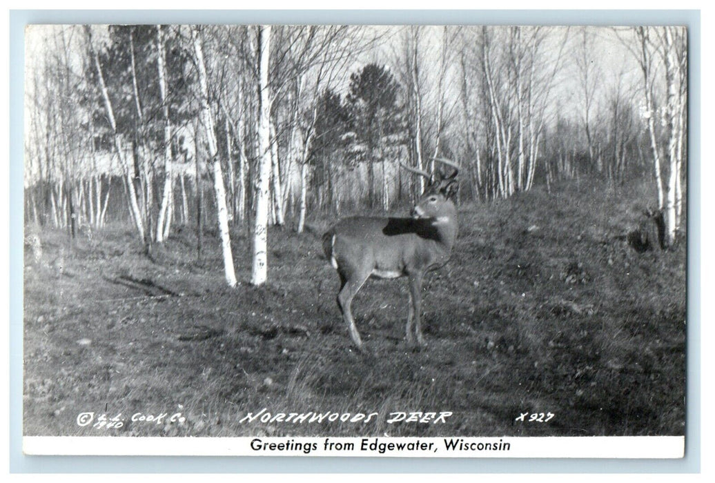 1946 Greetings From Edgewater Wisconsin WI, Northwood Deer RPPC Photo Postcard