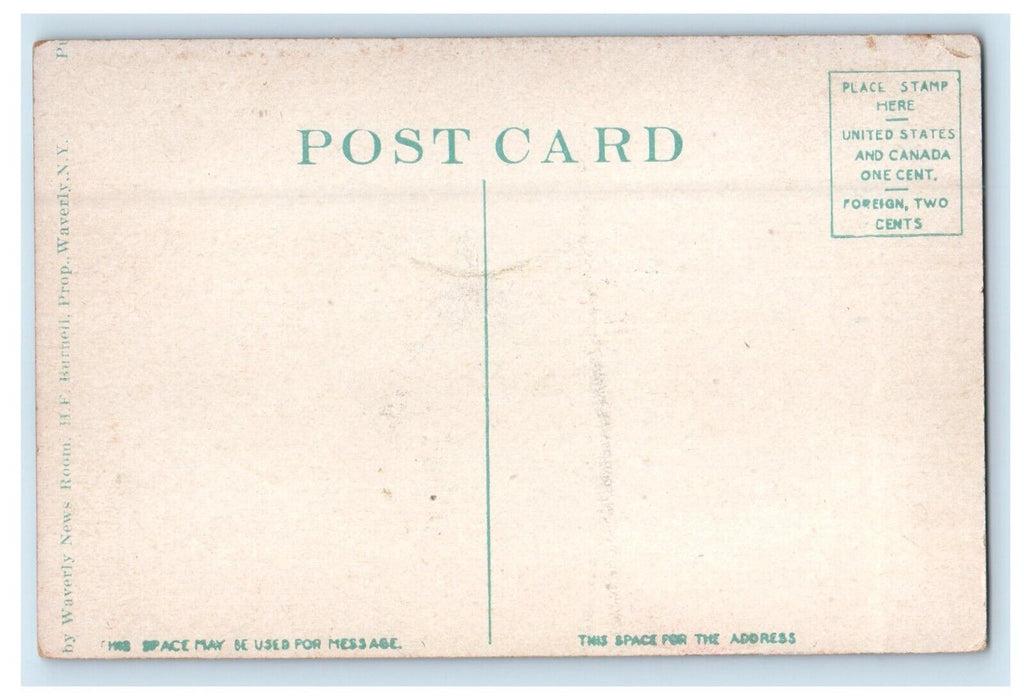 c1910's The Narrows River Bridge Railroad Waverly New York NY Antique Postcard
