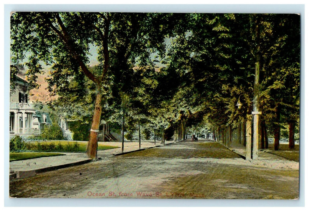 1908 Ocean St. From Wave Street Trees Lynn Massachusetts MA Antique Postcard