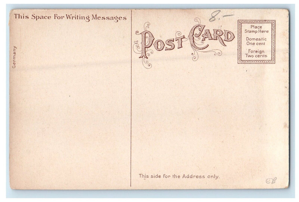 c1910's A View Of Winthrop Beach Cottages Massachusetts MA Antique Postcard