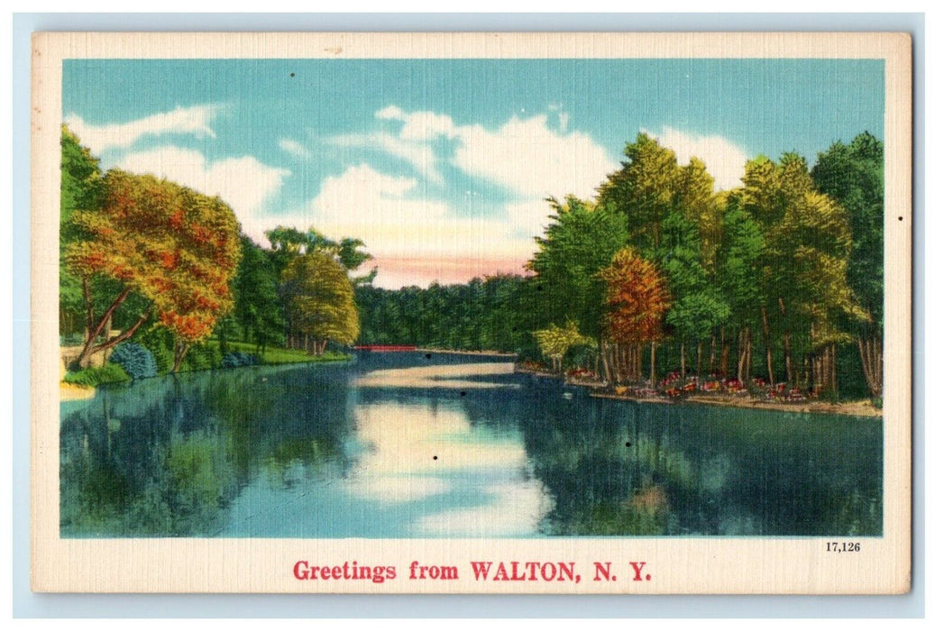 Greetings From Walton New York NY, Lake View Unposted Postcard