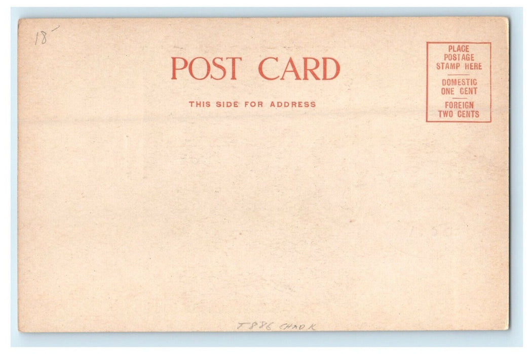 c1905 City Hall Decorated Crowded Lynn Massachusetts MA Undivided Back Postcard
