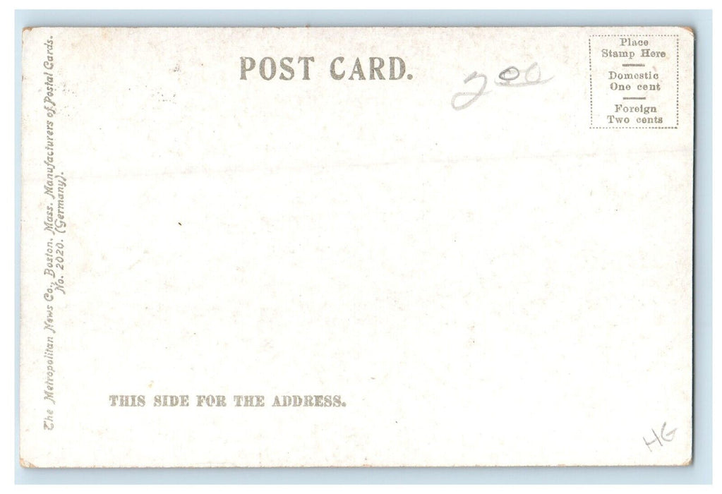 Panorama Of Winthrop Beach Massachusetts MA Unposted Antique Postcard