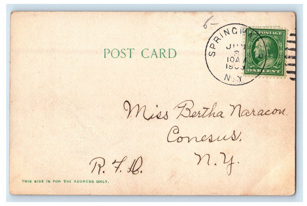 c1905 Wayland High School Wayland New York NY Posted Antique  Postcard