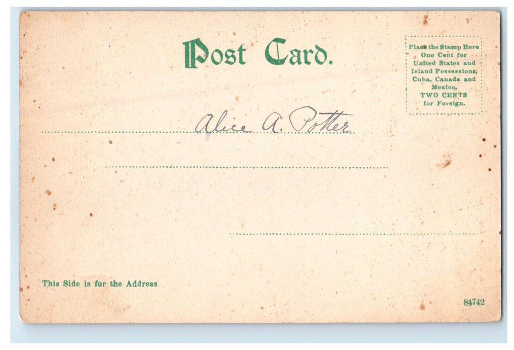 c1905 The Weirs, New Hampshire NH Antique Posted GW Morris Postcard