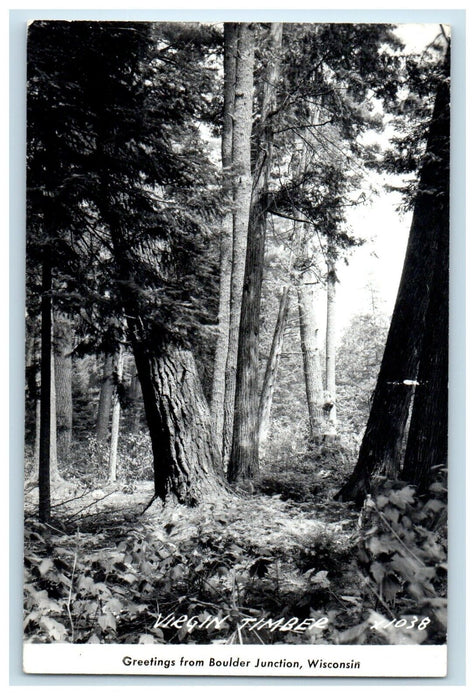 c1940's Greetings From Junction Wisconsin WI, Virgin Timber RPPC Photo Postcard